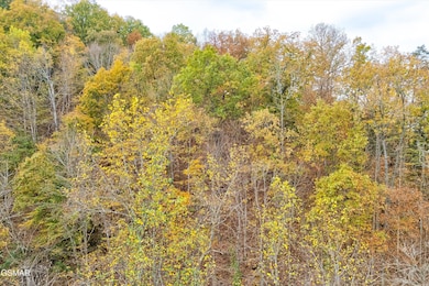 Lots 1,2,3 Timber Grove Rd, Sevierville, TN 37862 - photo 3