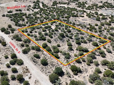 E 05. DJI_20250323122558_0096_D