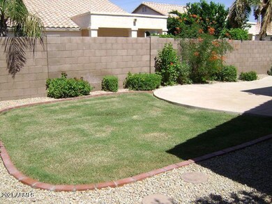 Amr backyard
