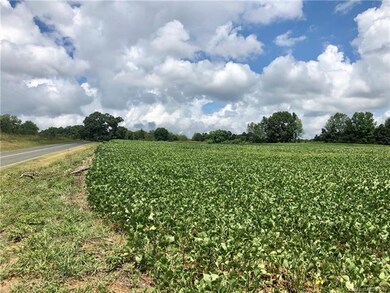 000 Mcmanus Rd, Midland, NC 28107 - photo 4