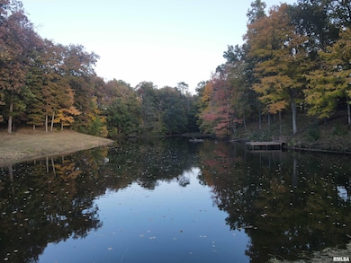 5446 N 1700th St, Dieterich, IL 62424 - photo 7