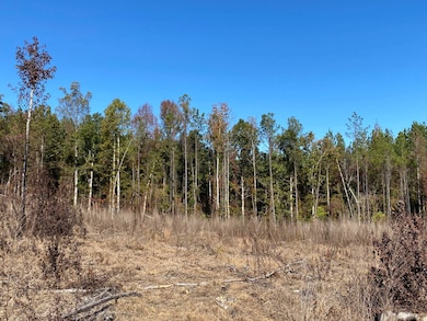 0 Vertie Hoggle Rd, North Perry, AL 36756 - photo 6