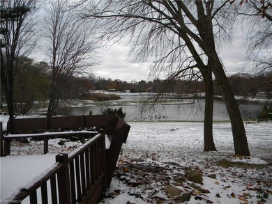 Awesome view of the ducks on the lake from the rea