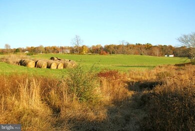 1 Richmond Rd, Amissville, VA 20106 - photo 6