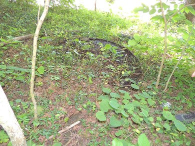 DSCN1217