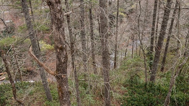 5 Lakeside Falls Rd, Cullowhee, NC 28723 - photo 3