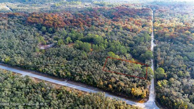 0 Rose Bloom Lot 7 Ave unit 2256782, Webster, FL 33597 - photo 6