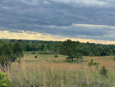 0 W Fairview Rd unit 24344957, Salem, AR 72576 - photo 6