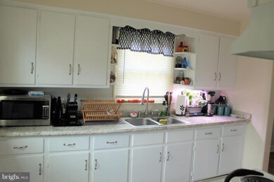 203 Sheridan Ave, Winchester, VA 22601 - photo 6