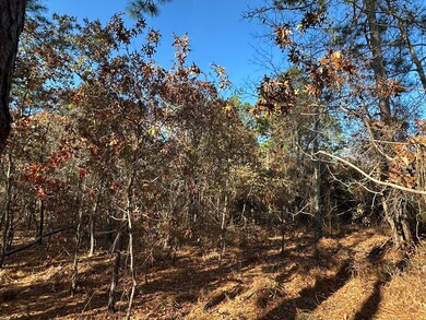 3054 Camp Josey Rd, Blythe, GA 30805 - photo 5