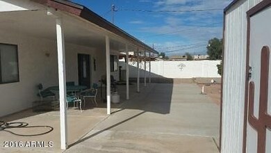 BACK YARD #3