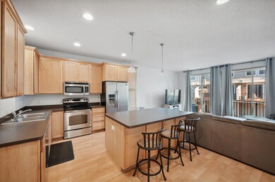 4665 Victor Path unit 7, Hugo, MN 55038 - photo 3