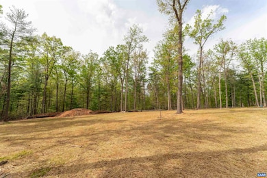 PARCEL 54 Free Union Rd, Charlottesville, VA 22901 - photo 4