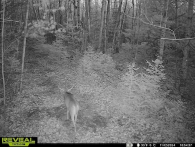 0 Right of Way Rd, Beecher, WI 54156 - photo 3