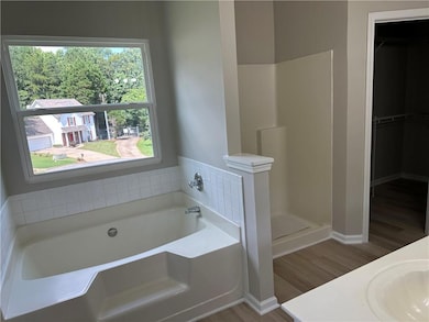 Bathroom with vanity, a garden tub, a walk in closet, light wood finished floors, and a shower stall