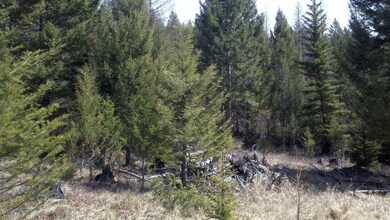 1004 Spring Hill Rd, Kila, MT 59920 - photo 5