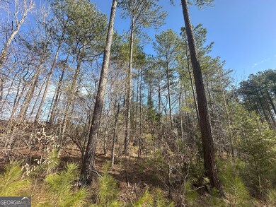 0 Ruckersville Rd unit 10490441, Elberton, GA 30635 - photo 5