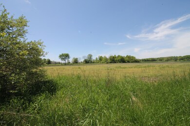 4925 Sawyer Rd, Sawyer, MI 49125 - photo 2