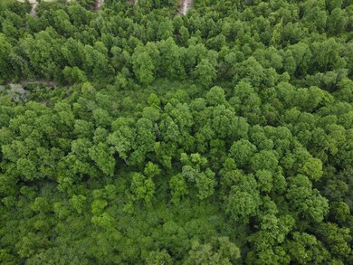 Lot # 7 Oak Bend Subdivision, Cairo, GA 39828 - photo 5