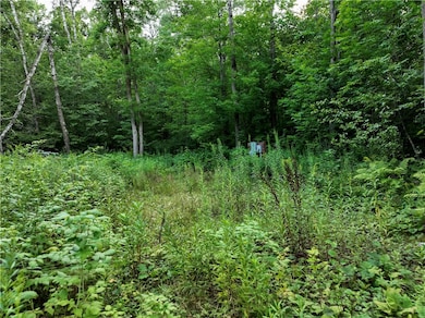 313 1 4 St, Rice Lake, WI 54868 - photo 4