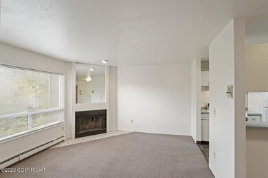 Hommati.com-9710_Morningside_Loop_AK-09-