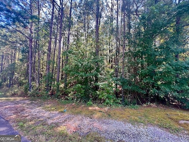 1150 Denton Rd, Douglasville, GA 30134 - photo 7