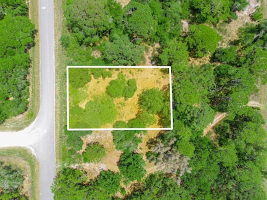 1210 Archie Summers Rd, Placid Lakes, FL 33852 - photo 6