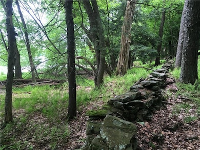 10.7 & 10.9 Cty Hwy 141 Horseshoe Lake Rd, Bethel, NY 12720 - photo 3