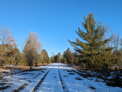 0 Bergstrom Dr, Kaleva, MI 49645 - photo 2