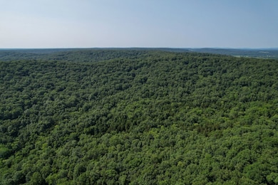 0 Coffman Rd unit Lot WP002 20945157, Farmington, MO 63640 - photo 7