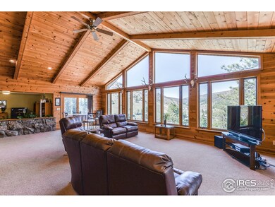 295 Deer Path St, Bellvue, CO 80512 - photo 4