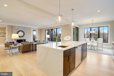 4704 25th St N, Arlington, VA 22207 - photo 3