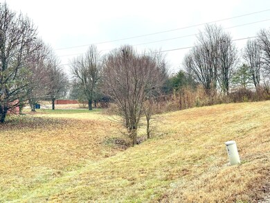 1700 Goddard Ln, Dandridge, TN 37725 - photo 2