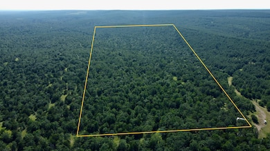 000 Tram Tr, Rattan, OK 74562 - photo 3