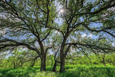 7602 Co Rd 113, Llano, TX 78643 - photo 4