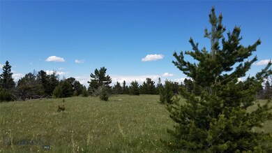 NORTH FACING VIEW FROM LOT.