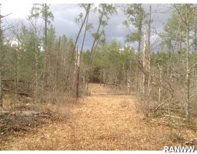 7735 Hayden Lake Rd, Danbury, WI 54830 - photo 4