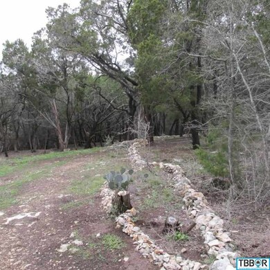 143 Deer Run, Moody, TX 76557 - photo 6