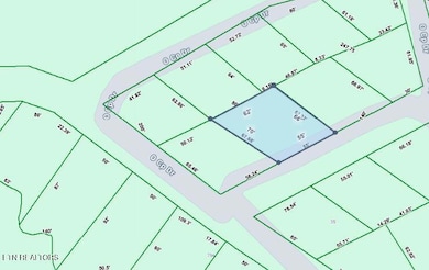 0.08 ac Bilbrey St, Crossville, TN 38555 - photo 2