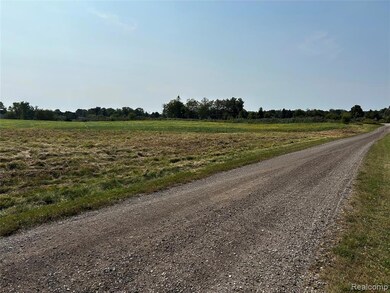 Parcel N N Hacker Rd, Hartland Township, MI - photo 7