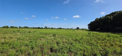 16905 NW 220th St, Okeechobee, FL 34972 - photo 7