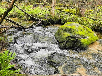 Sheridan Brook