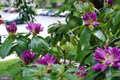 14240 Oakpointe Dr, Laurel, MD 20707 - photo 2