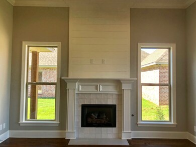 117 St Croix Ln, Madison, MS 39110 - photo 5