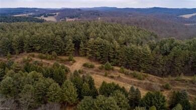 7033 Avon Rd NE unit 26B, Carrollton, OH 44615 - photo 5