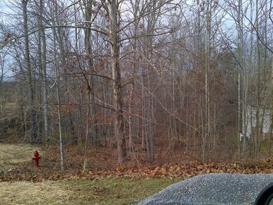 Lot 17 road side where drive would be