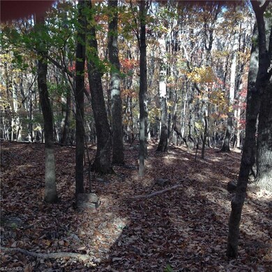 0 Scott Mountain Road Extension, Asheboro, NC 27205 - photo 3