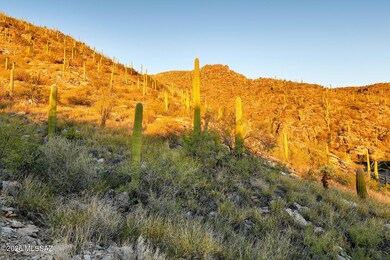 2661 E Calle Sin Ruido unit 204, Catalina Foothills, AZ 85718 - photo 7