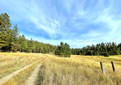 1617 S D 395 Hwy, Chewelah, WA 99109 - photo 6