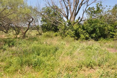 TBD Hereford Ln, Millsap, TX 76066 - photo 4